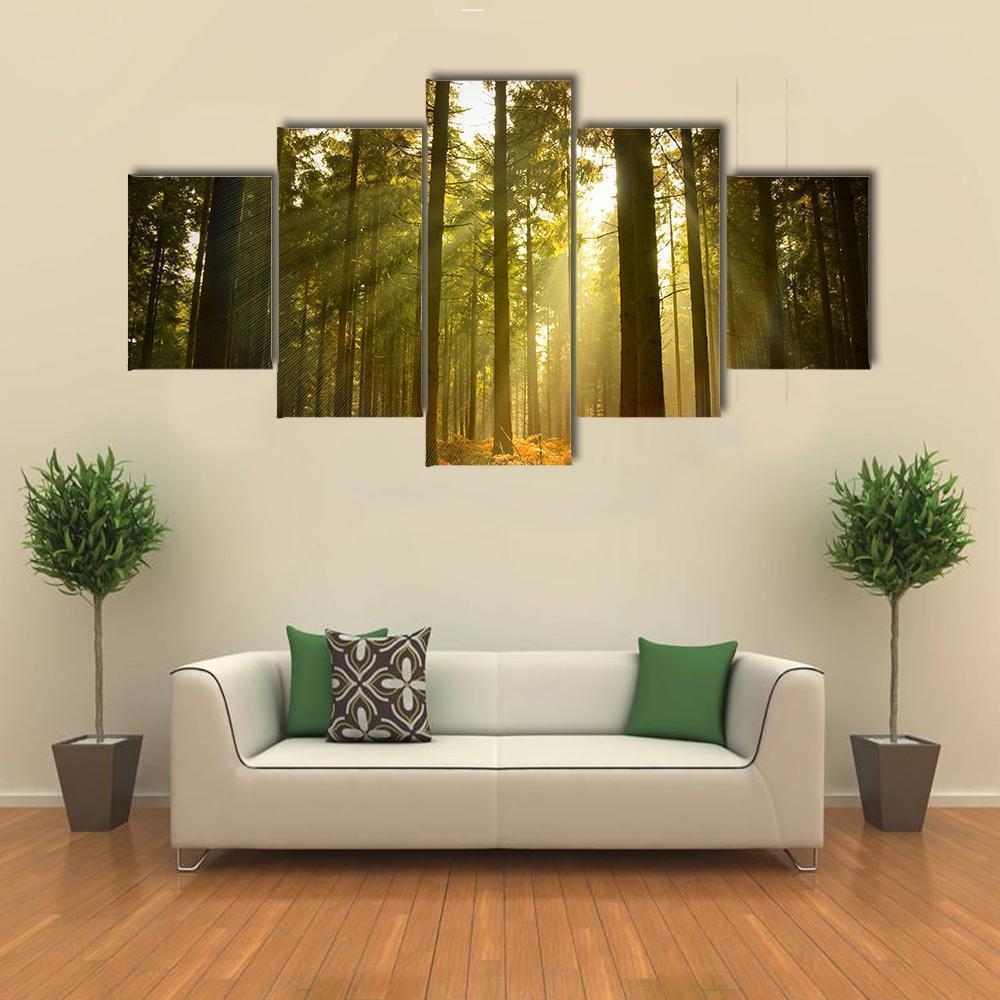 A Beautiful Forest At Dusk Nature Canvas Wall Art