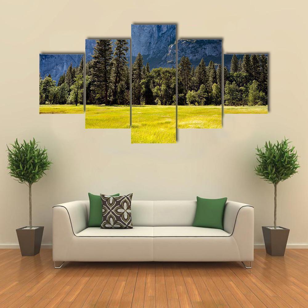 A Meadow In The Spring At Yosemite National Park Nature Canvas Wall Art
