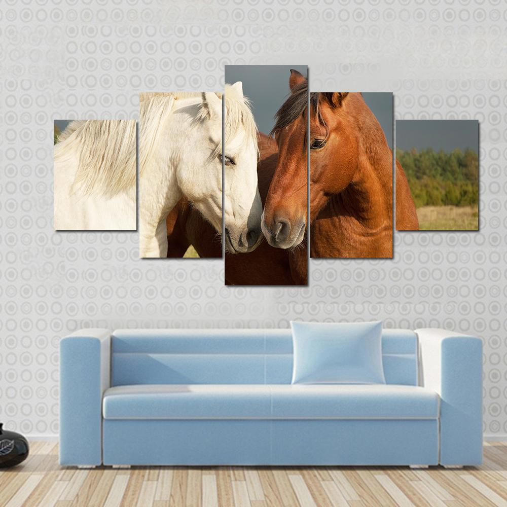 A Pair Of Horses Showing Affection Animal Canvas Wall Art
