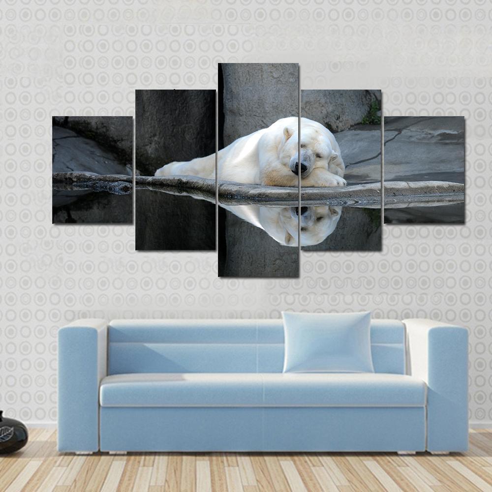 A Sleeping Polar Bear At A Zoo Animal Canvas Wall Art