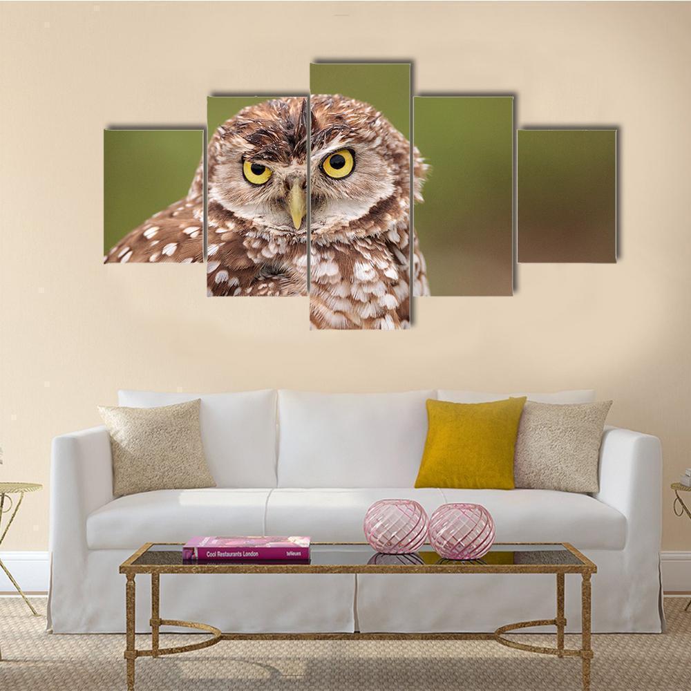 Adult Burrowing Owl Animal Canvas Wall Art
