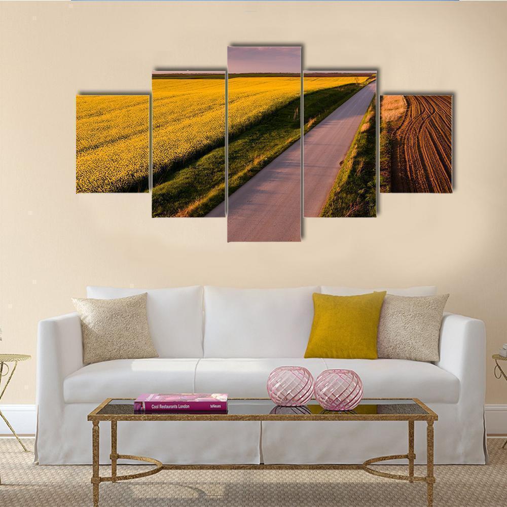 Aerial Shot Of Canola Rape Seed From Drone Nature Canvas Wall Art