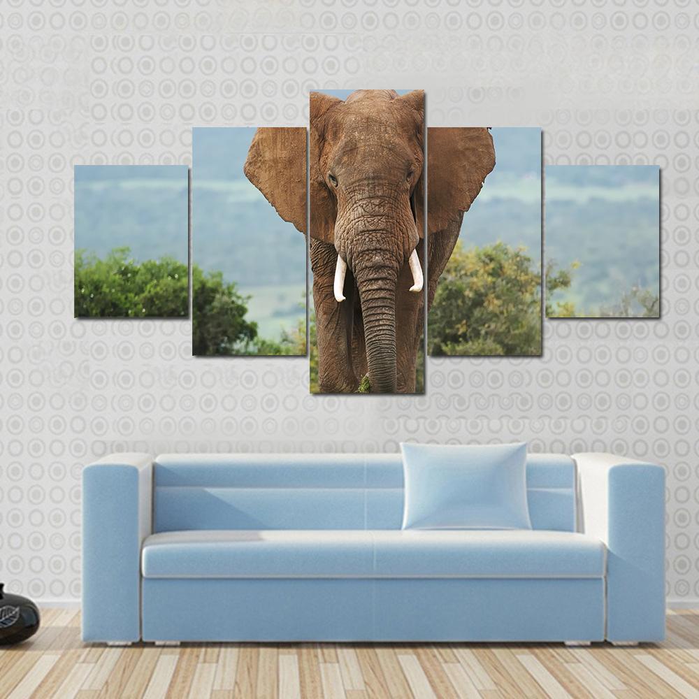 African Elephant 3 Animal Canvas Wall Art