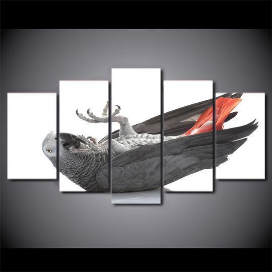 African Grey Parrot Animal Canvas Wall Art