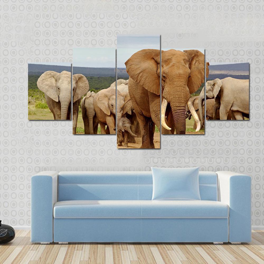 An Elephant Herd With Tusker Animal Canvas Wall Art