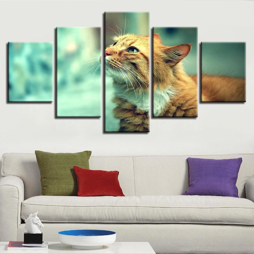 Animal Cute Cat Animal Canvas Wall Art