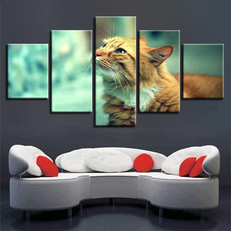 Animal Cute Cat Animal Canvas Wall Art