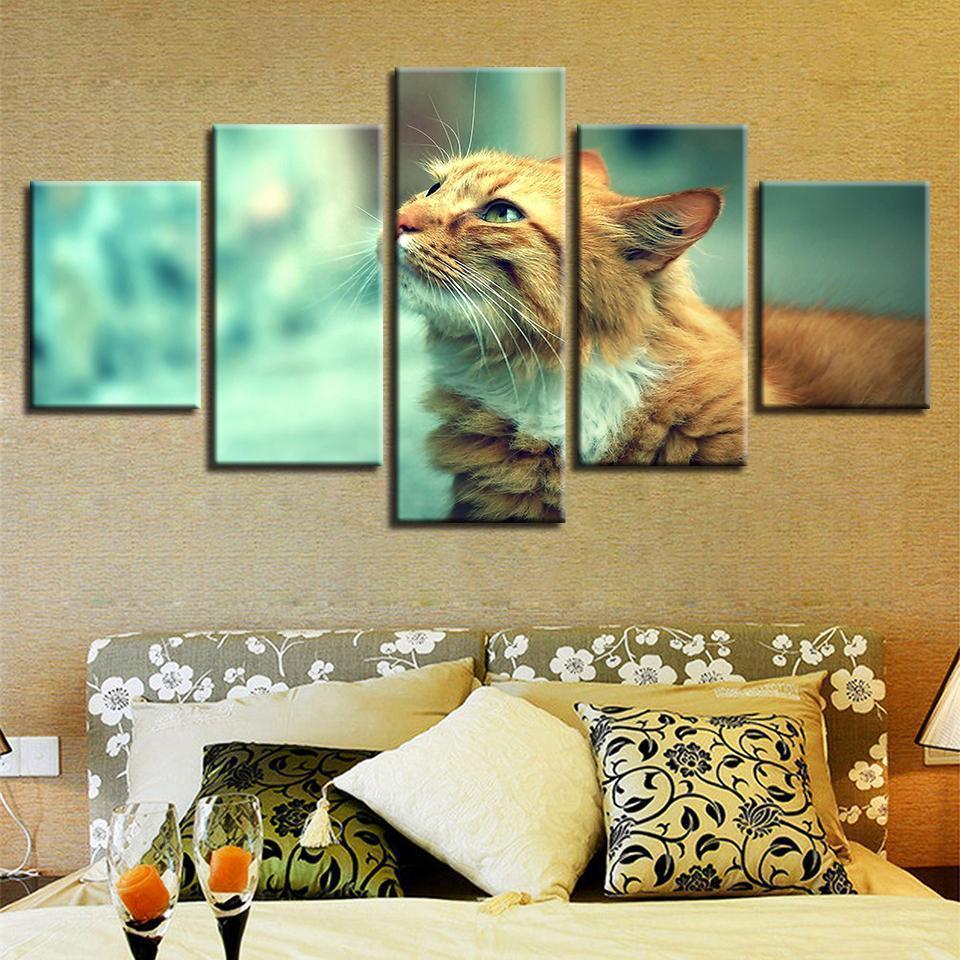 Animal Cute Cat Animal Canvas Wall Art