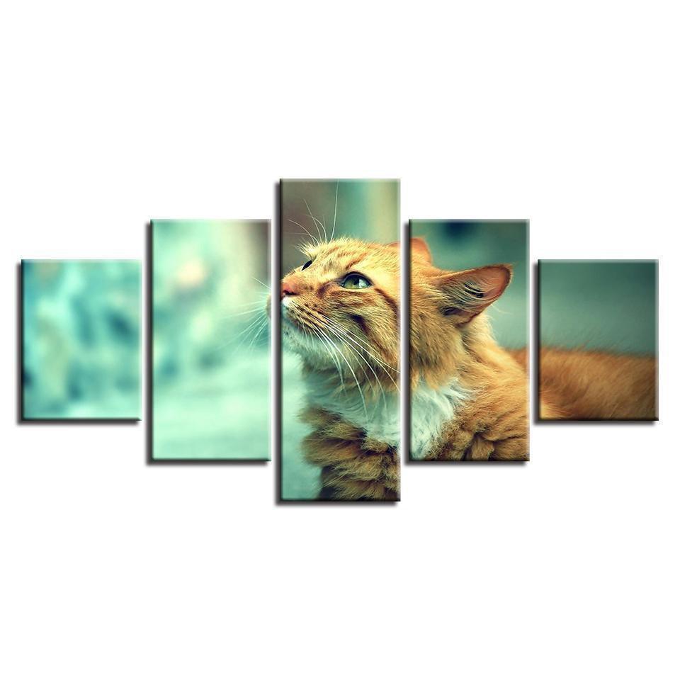 Animal Cute Cat Animal Canvas Wall Art