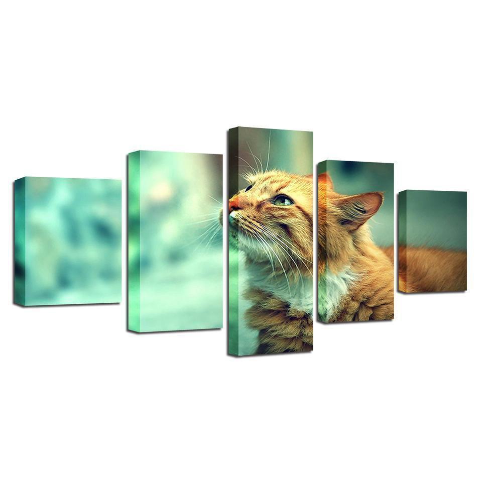 Animal Cute Cat Animal Canvas Wall Art
