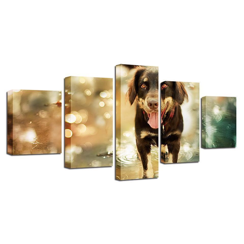 Animal Dog Animal Canvas Wall Art