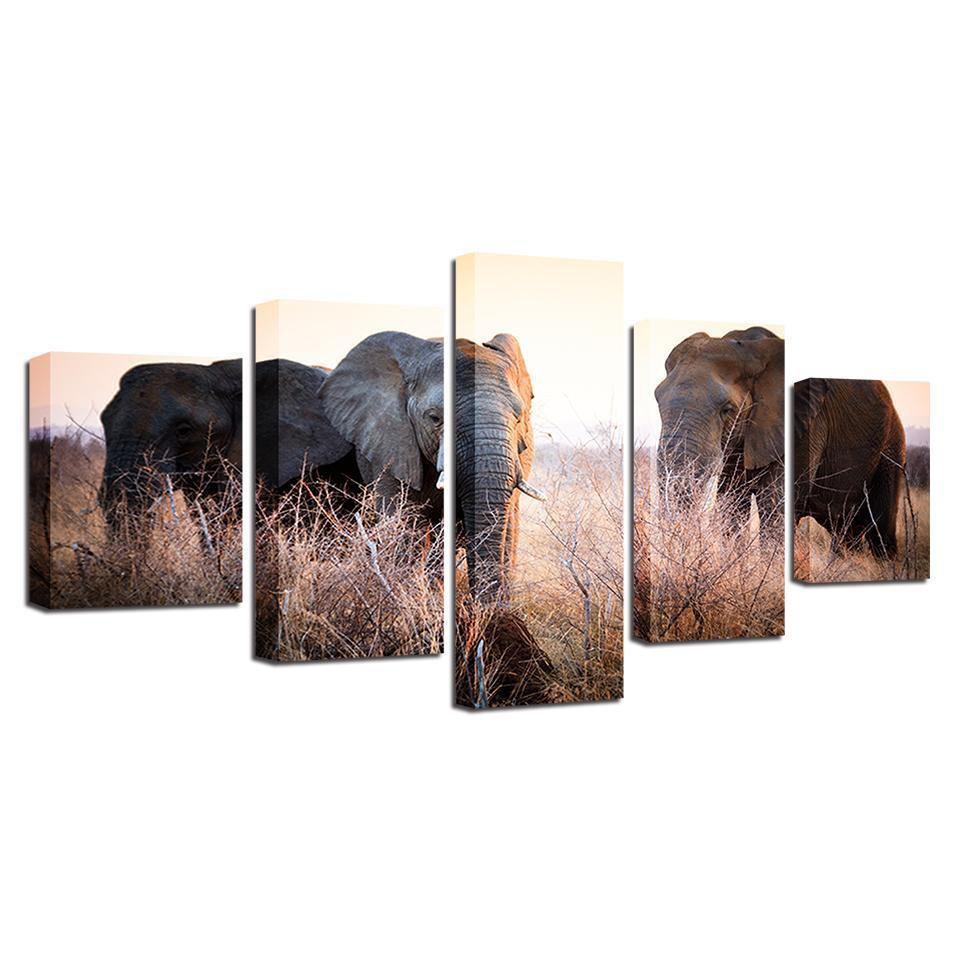 Animal Elephant Scenery Animal Canvas Wall Art