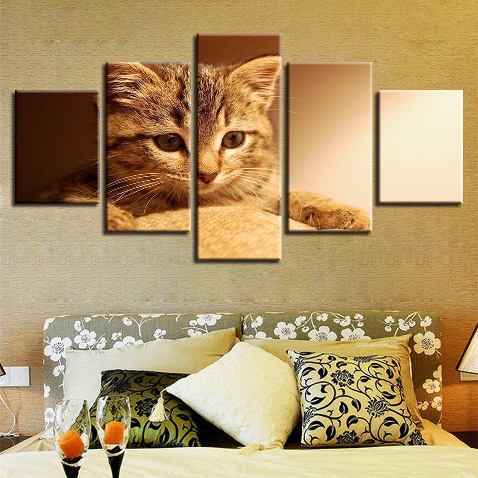 Animal Lovely Cat Animal Canvas Wall Art