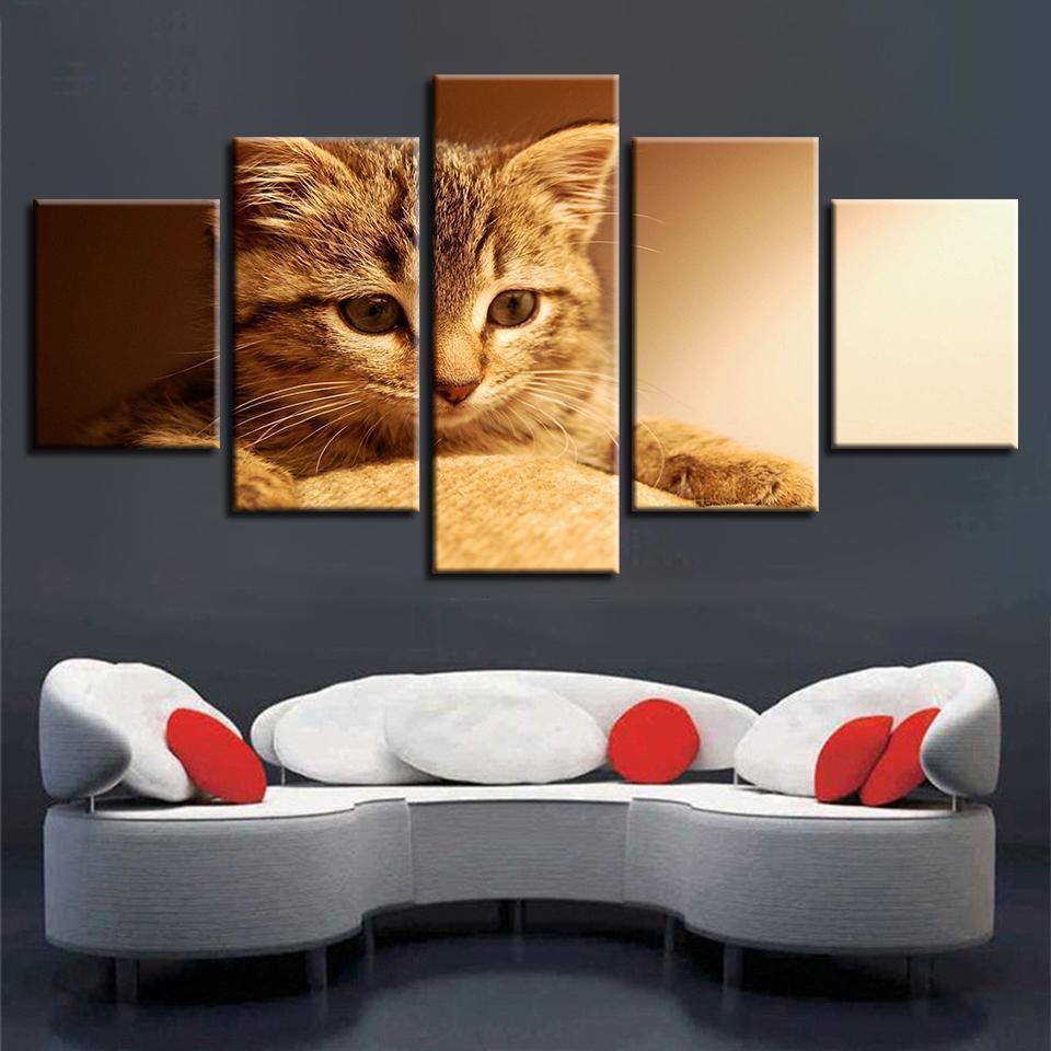 Animal Lovely Cat Animal Canvas Wall Art