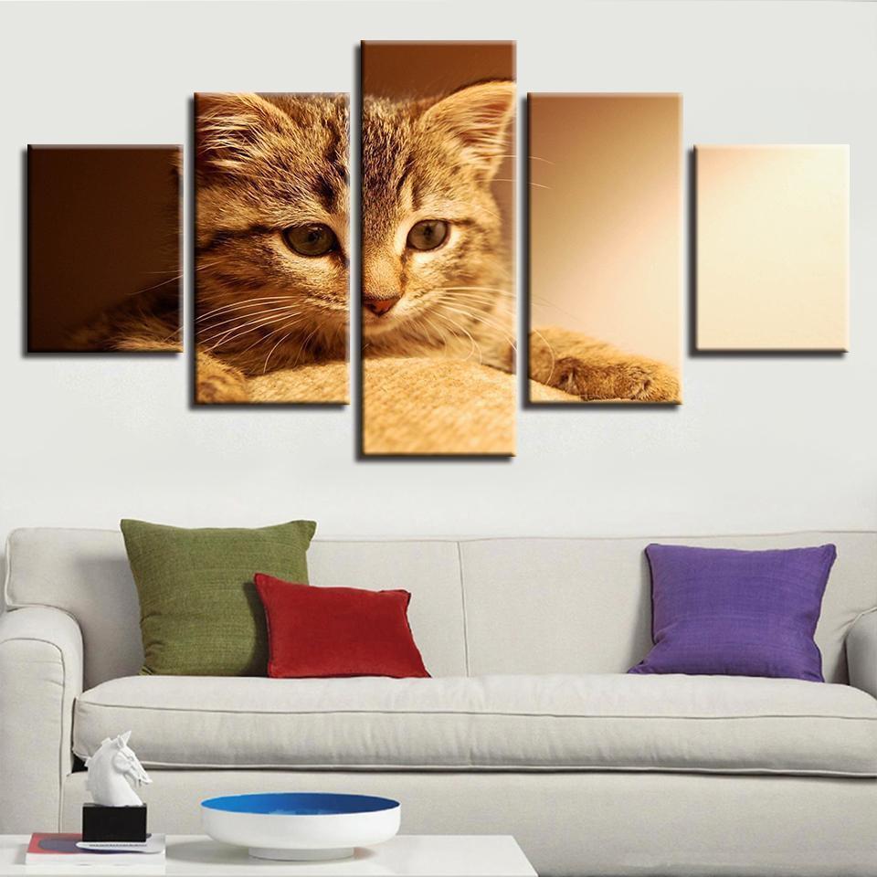 Animal Lovely Cat Animal Canvas Wall Art