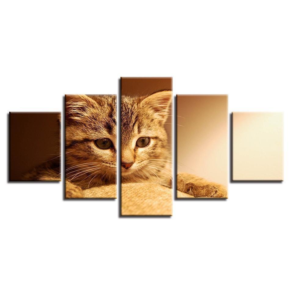 Animal Lovely Cat Animal Canvas Wall Art