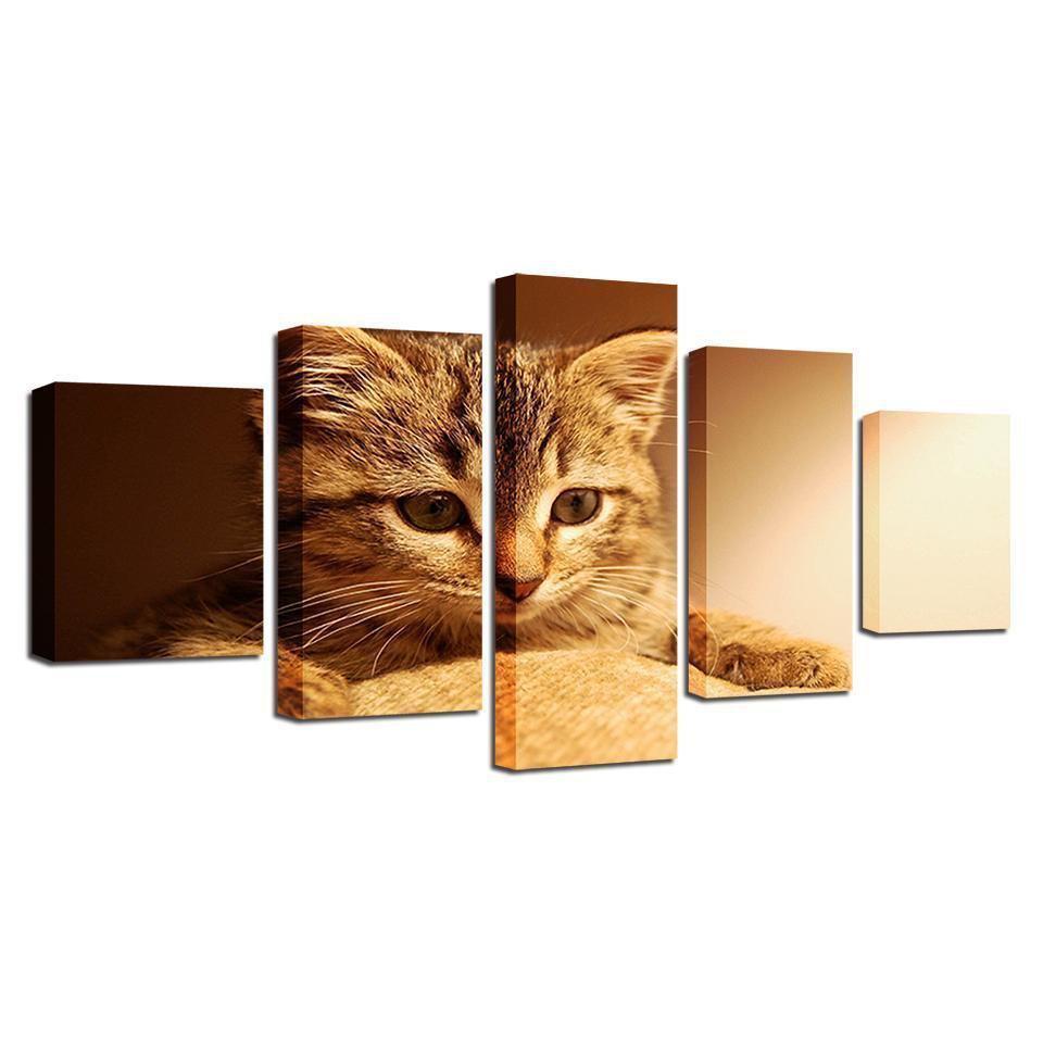 Animal Lovely Cat Animal Canvas Wall Art