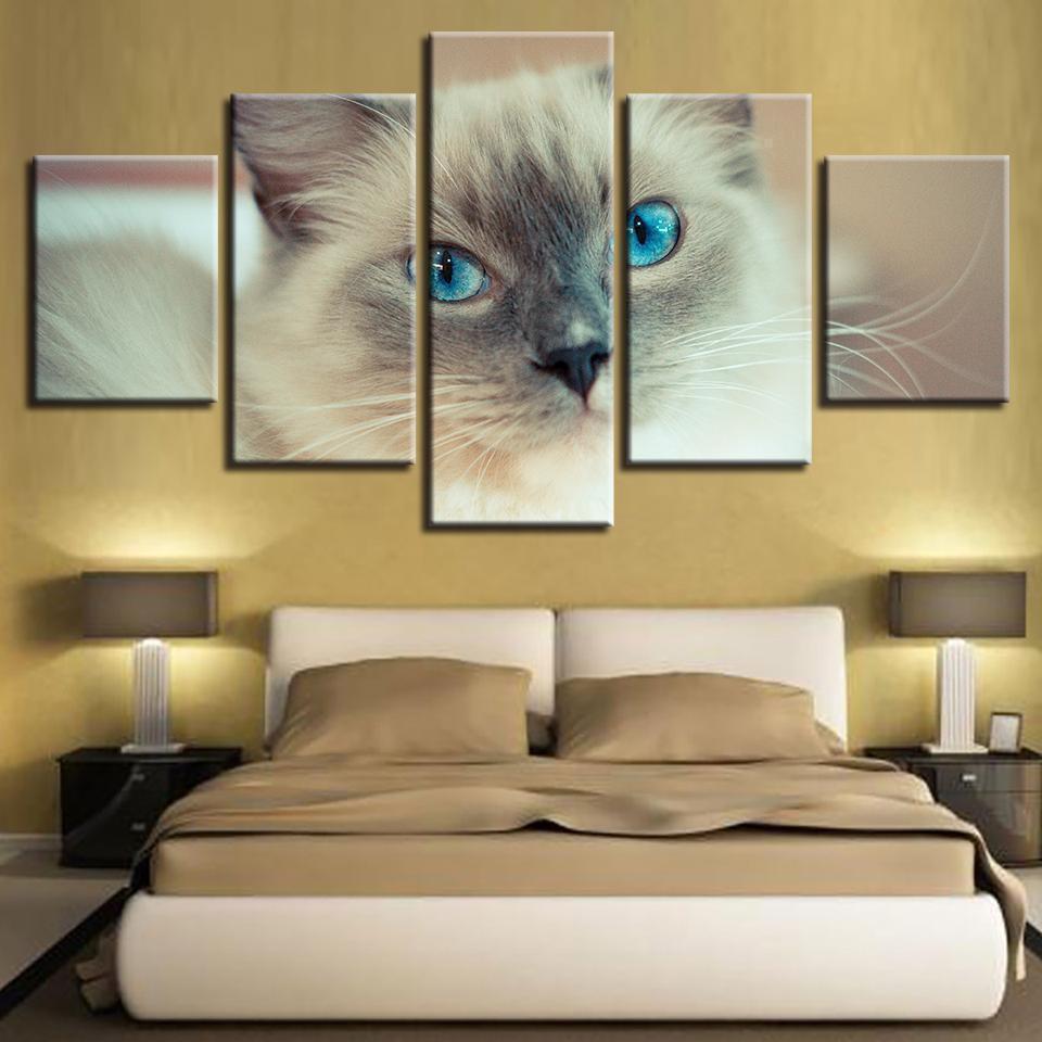 Animal Lovely White Cat Animal Canvas Wall Art