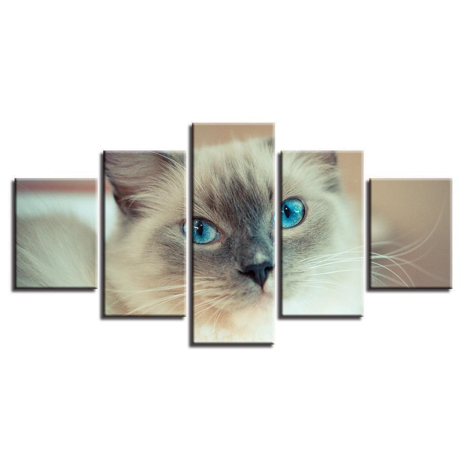 Animal Lovely White Cat Animal Canvas Wall Art