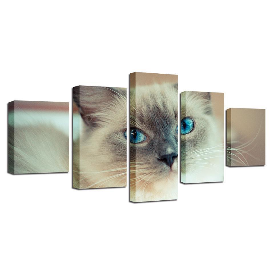 Animal Lovely White Cat Animal Canvas Wall Art
