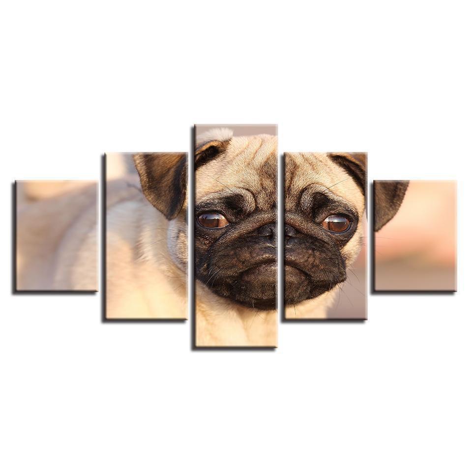 Animal Pug Dog Animal Canvas Wall Art