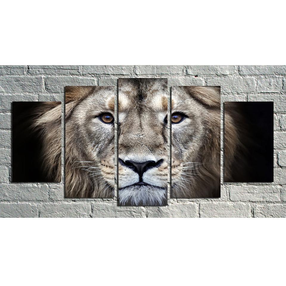 Animals Lion Face Animal Canvas Wall Art