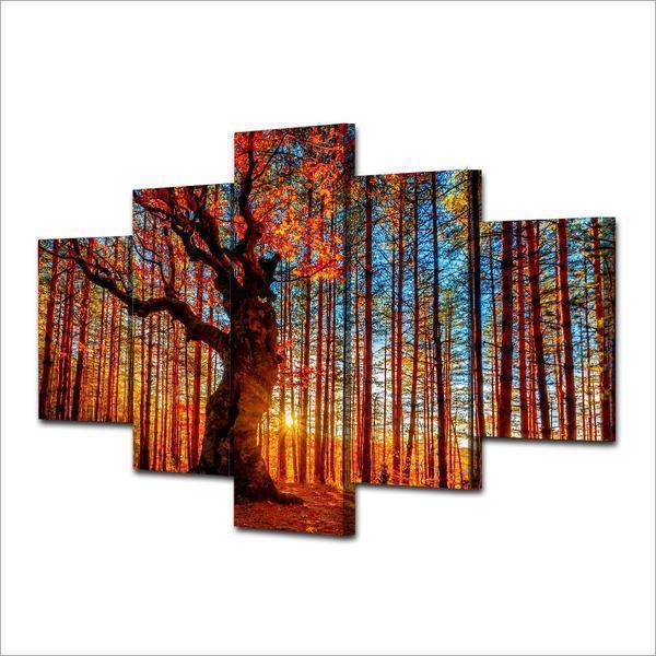 Autumn Fall Forest Trees Foliage Nature Canvas Wall Art