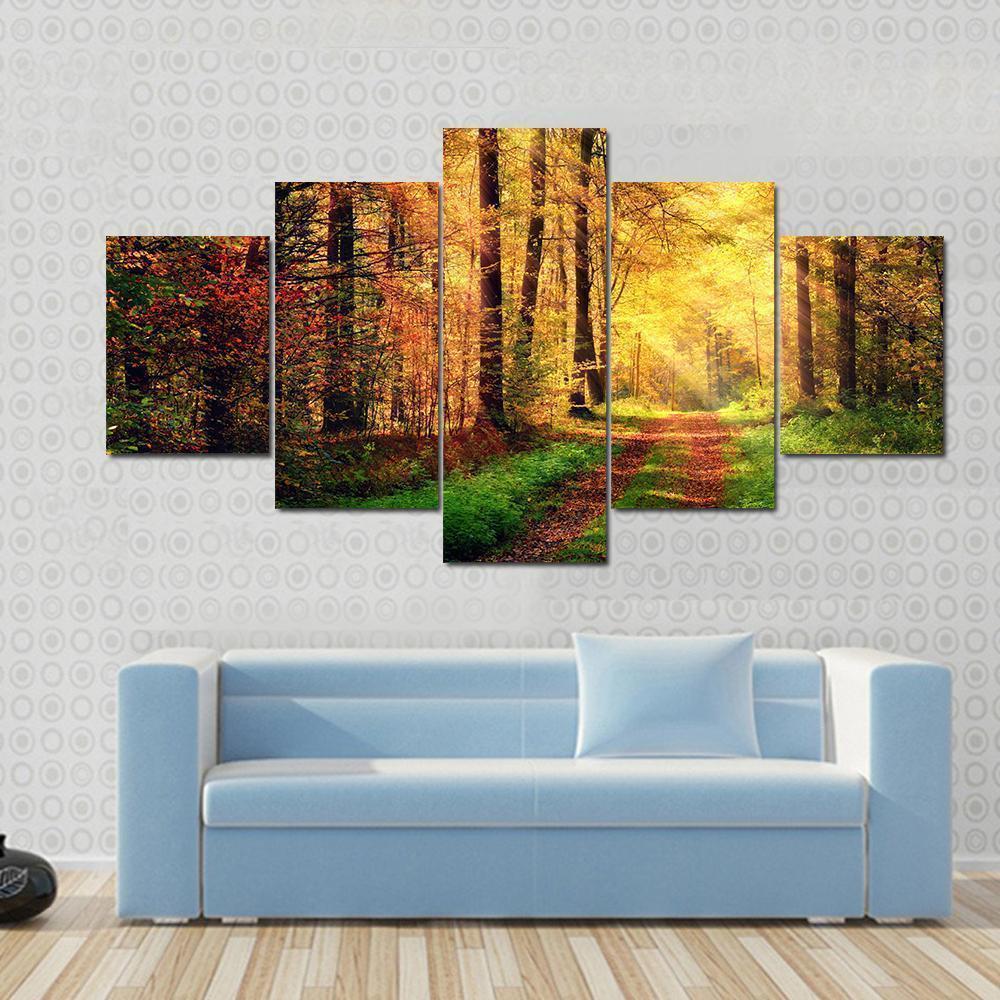 Autumn Forest Scenery With Rays Of Warm Light Nature Canvas Wall Art