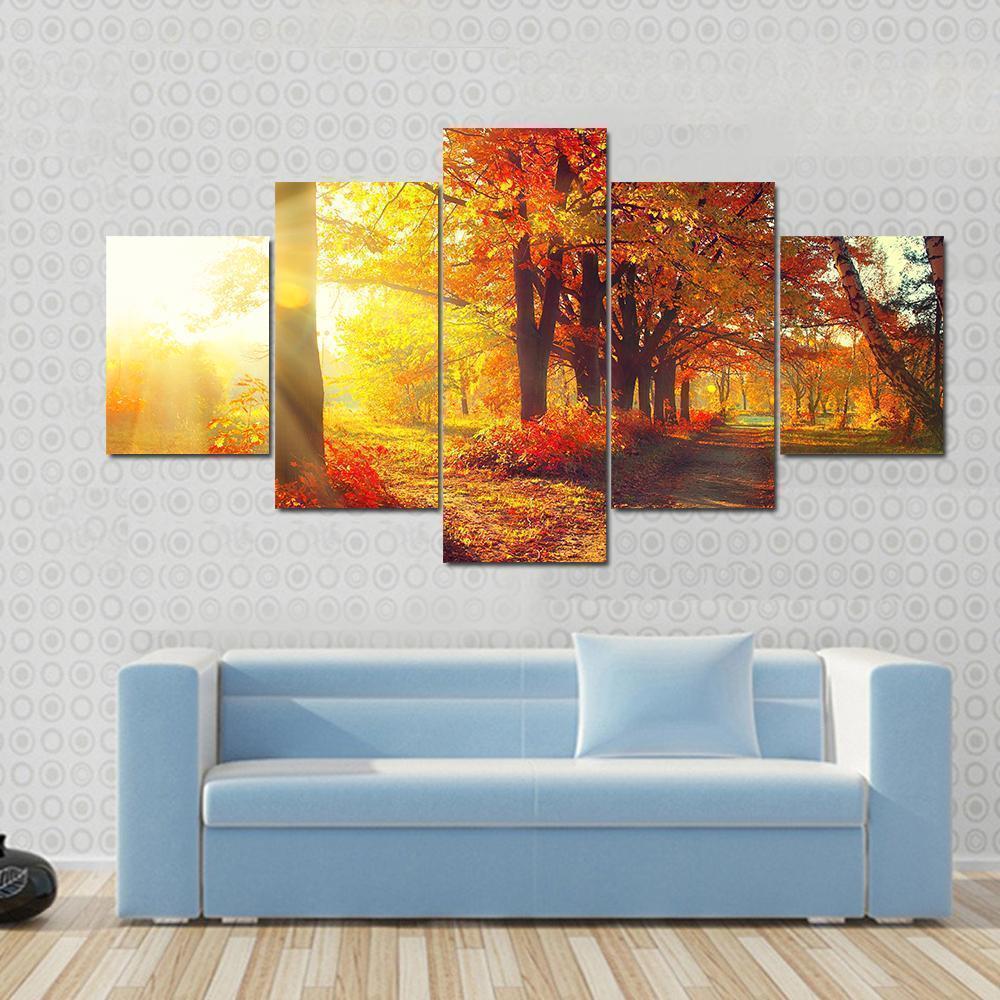 Autumnal Trees And Leaves In Sun Rays Nature Canvas Wall Art