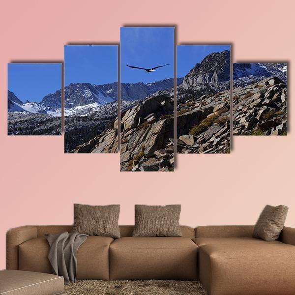 Bald Eagle Soaring Over Rocky Peaks Animal Canvas Wall Art