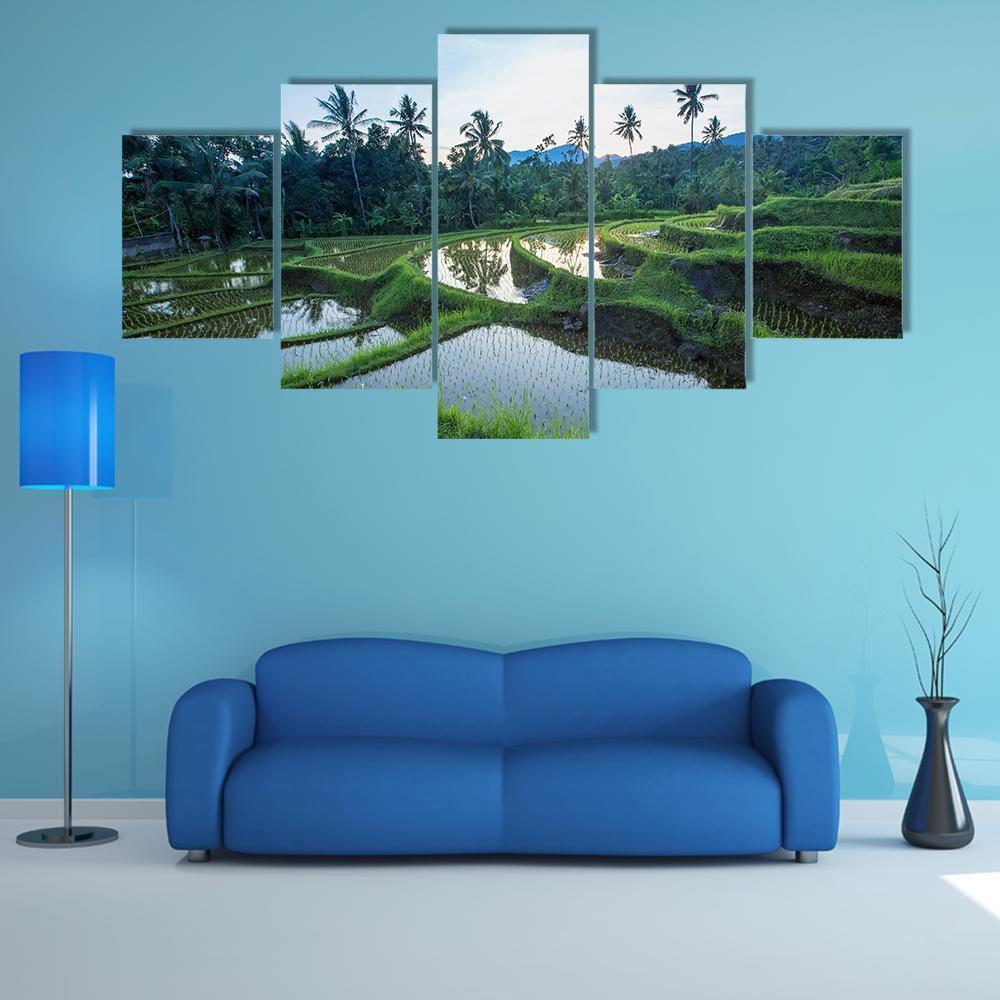 Bali Rice Terraces Nature Canvas Wall Art