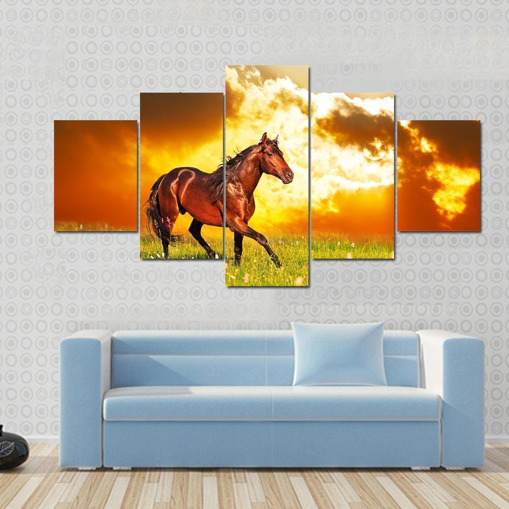 Bay Horse Skips On A Meadow Animal Canvas Wall Art