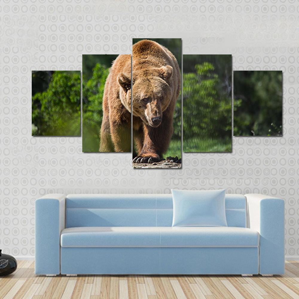 Bear Moving In The Forest Animal Canvas Wall Art