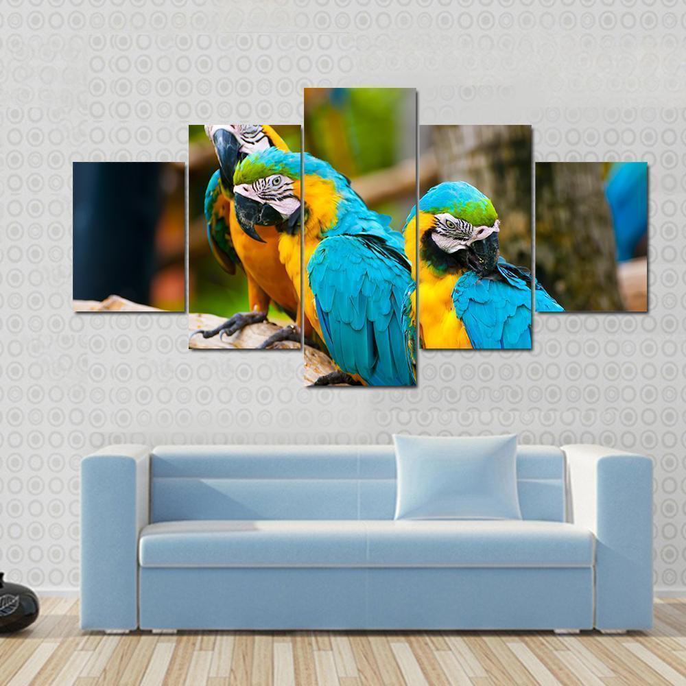 Beautiful Colorful Macaw Animal Canvas Wall Art
