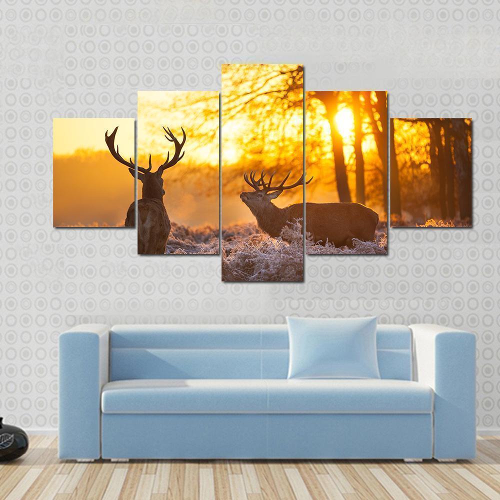 Beautiful Deer Couple In Morning Sun Animal Canvas Wall Art