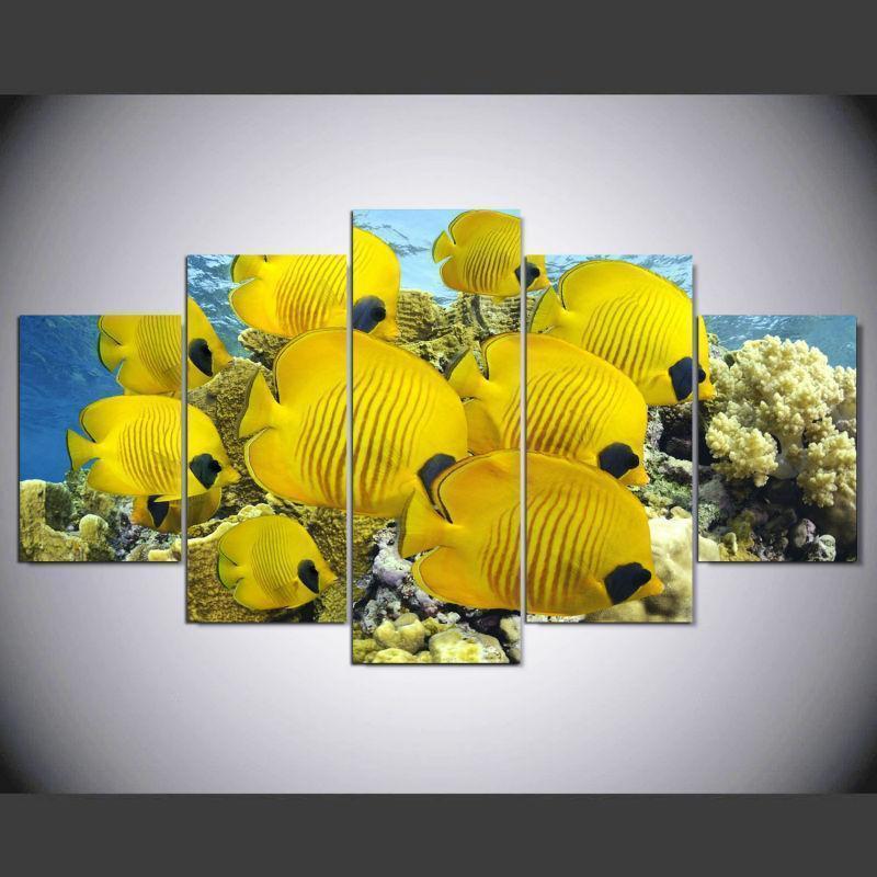 Beautiful Fishes For Animal Canvas Wall Art