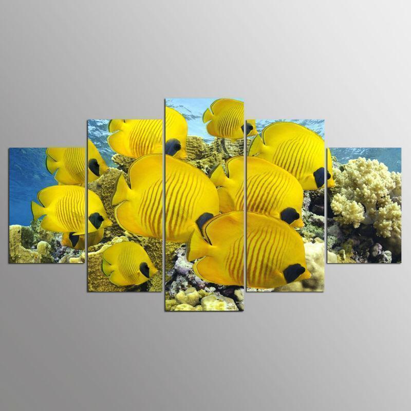 Beautiful Fishes For Animal Canvas Wall Art