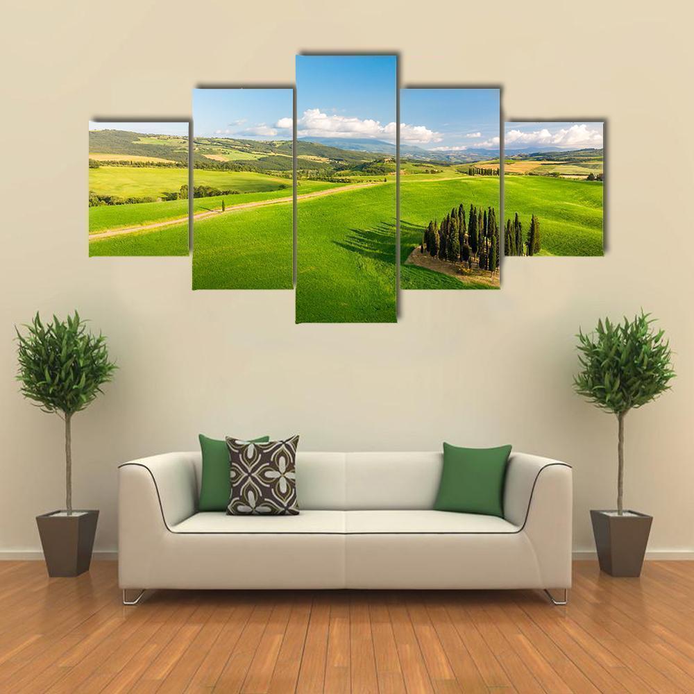 Beautiful Italian Cypresses Nature Canvas Wall Art
