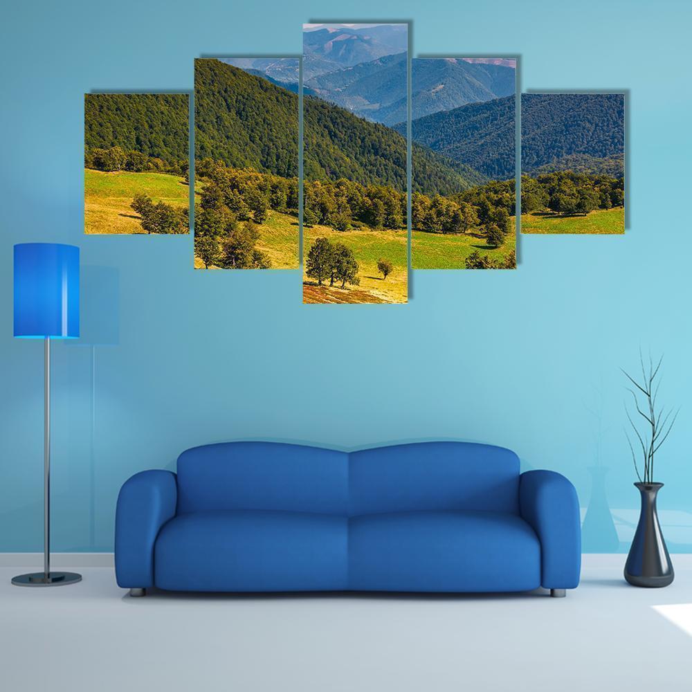 Beech Trees Meadow On Hillside Nature Canvas Wall Art