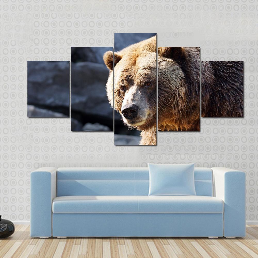 Big Grizzly Brown Bear Looking At Camera Animal Canvas Wall Art