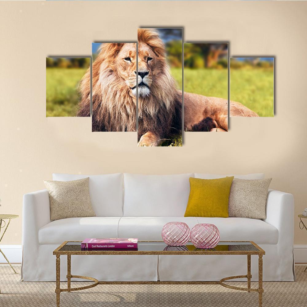 Big Lion Lying On Savannah Grass Animal Canvas Wall Art