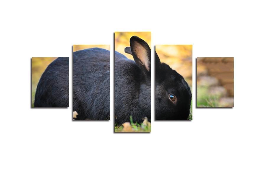 Black Cotton Bunny Animal Canvas Wall Art