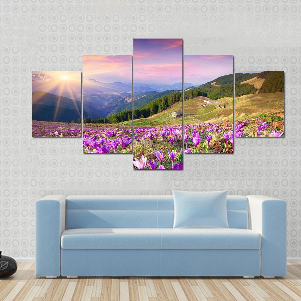 Blossom Of Crocuses At Spring In The Mountains Nature Canvas Wall Art