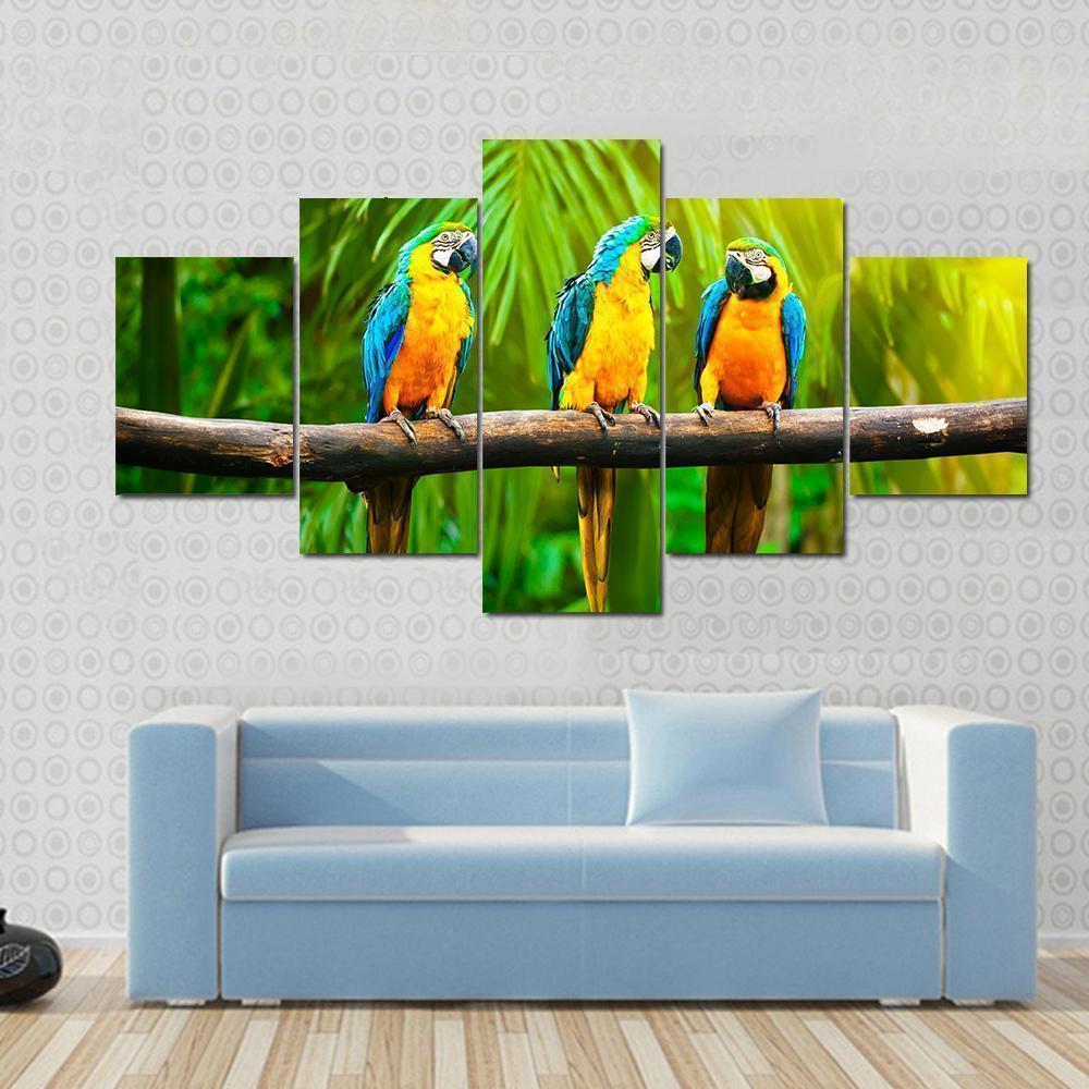 Blue And Gold Macaw Animal Canvas Wall Art