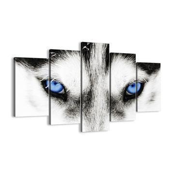Blue Wolf Eyes Animal Canvas Wall Art