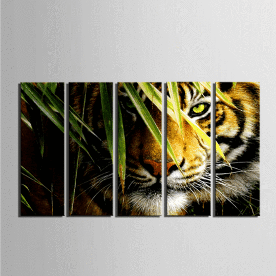 Calahari Stare Tiger Animal Canvas Wall Art