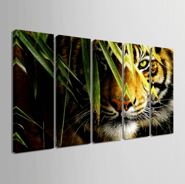 Calahari Stare Tiger Animal Canvas Wall Art