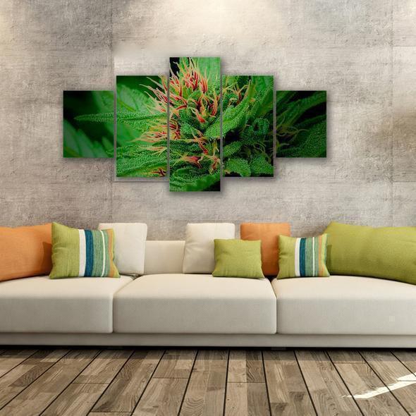 Cannabis Sweet Nature Canvas Wall Art