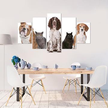Cats And Dogs Frontal Animal Canvas Wall Art