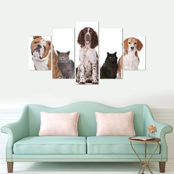 Cats And Dogs Frontal Animal Canvas Wall Art